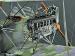 32034 1/32 AEG G.IV Early - Brett Sharman NZ detail (31)